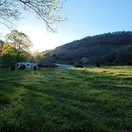 Ferme Les Therondels Saint-Pons-de-Thomieres Exterior foto