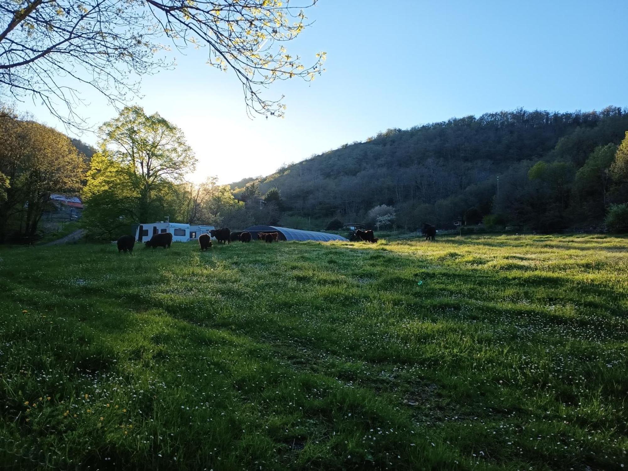 Ferme Les Therondels Saint-Pons-de-Thomieres Exterior foto